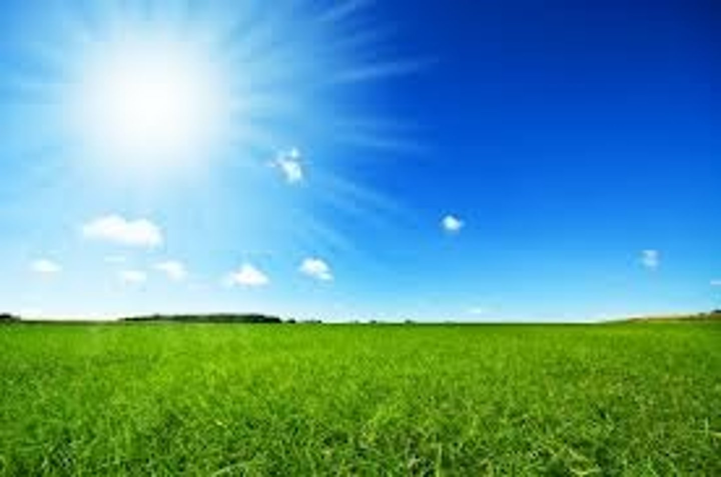 <p>It's sunny</p>