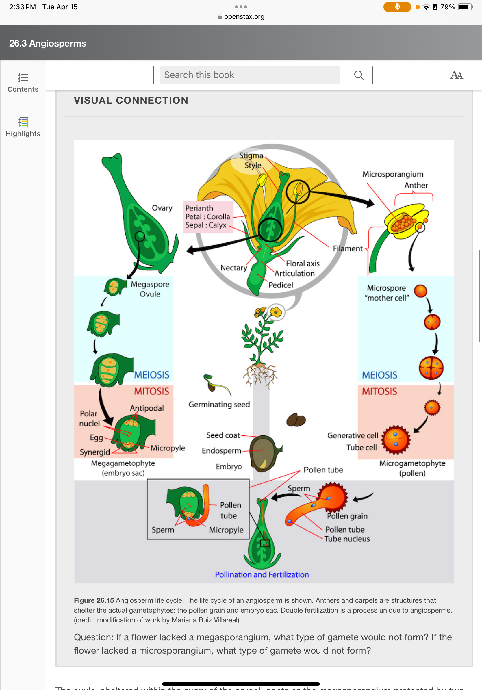 <p><span style="color: rgb(66, 66, 66)">If a flower lacked a megasporangium, what type of gamete would not form? If the flower lacked a microsporangium, what type of gamete would not form?</span></p>