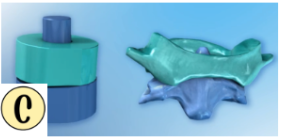 <p>At the top of the spine, the atlas and axis form a pivot joint that allows for rotation of the head (Axis, and atlas).</p>