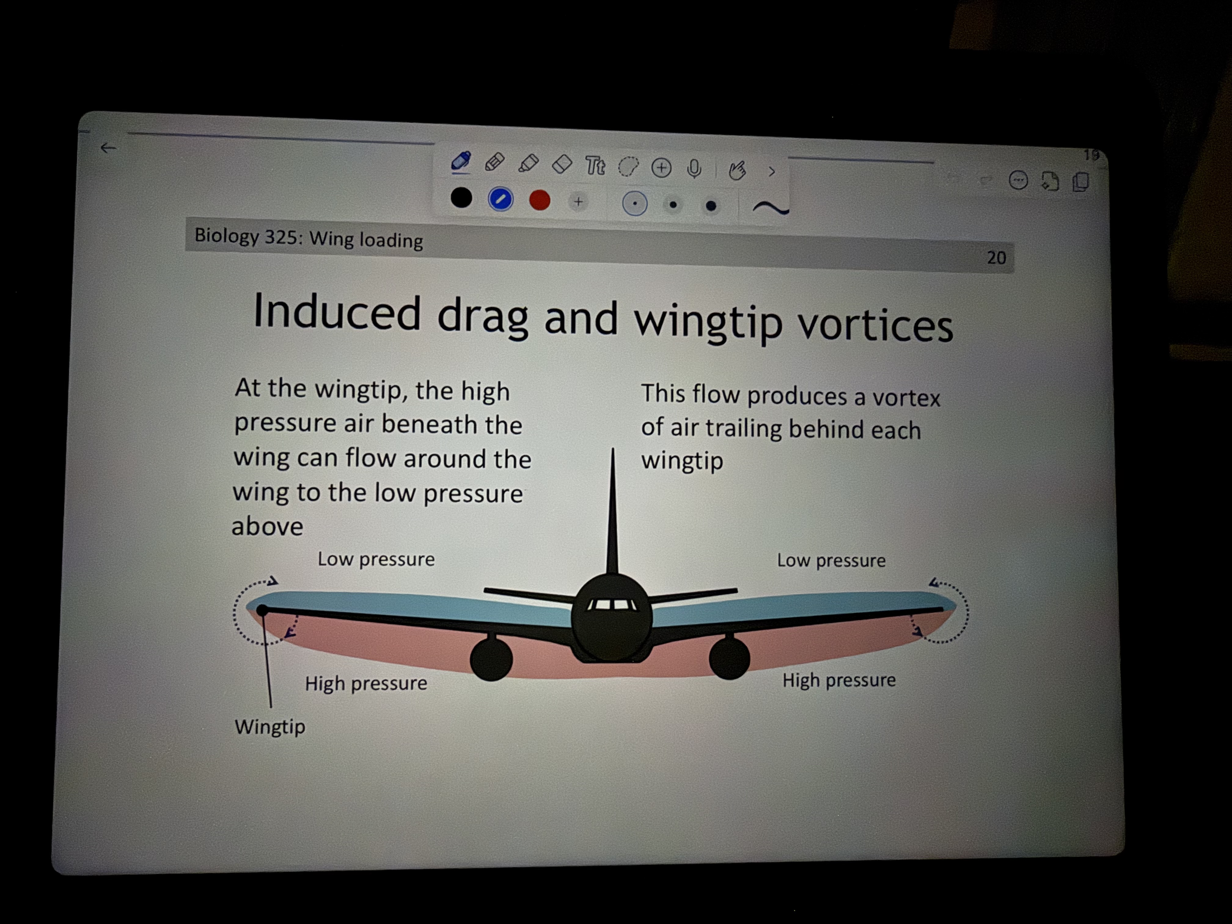 <ul><li><p>At the wingtip, high pressure air beneath the wing can flow around the wing to the low pressure above </p></li><li><p>Generated a vortex of air trailing behind each wingtip </p></li></ul><p></p>