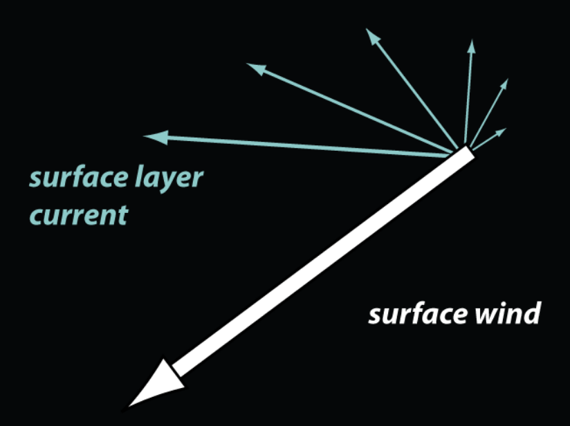<p>current slows and turns clockwise with increasing depth, eventually flowing in opposite direction to surface wind</p>