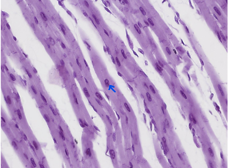 <p>What is this?</p>