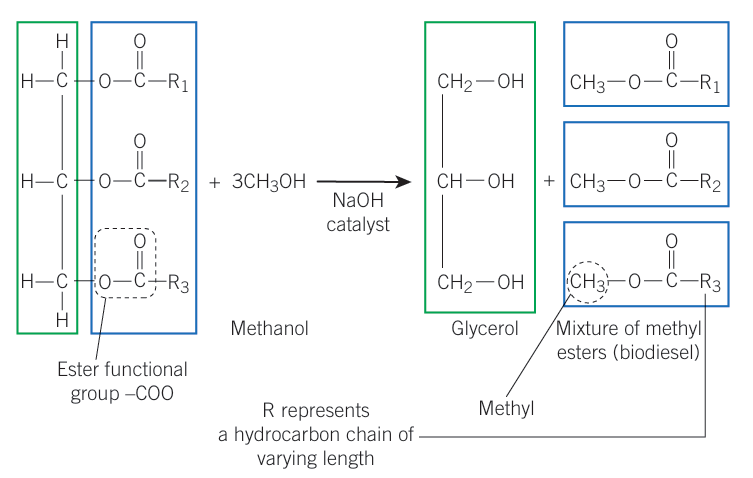 <p>Ester functional Group + 3x Methanol —&gt; (NaOH) Glycerol + Mixture of methyl esters</p>