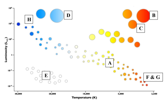 <p>A) The Sun D) Blue Supergiants G) Oldest Stars</p><p>B) Red Supergiants E) White Dwarfs H) Youngest Stars</p><p>C) Red Giants F) Red Dwarfs</p>
