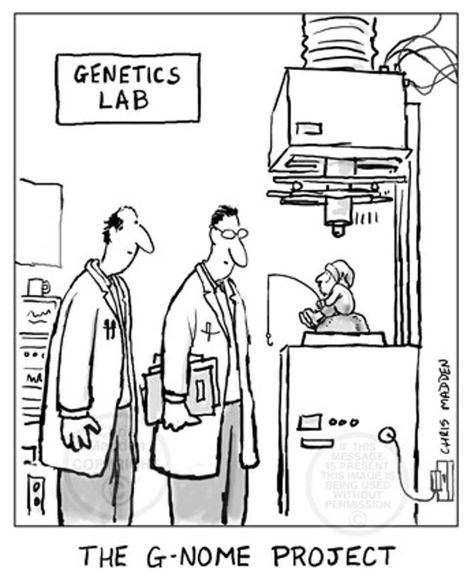 <p>strong relationship between genetic influences and longevity</p>