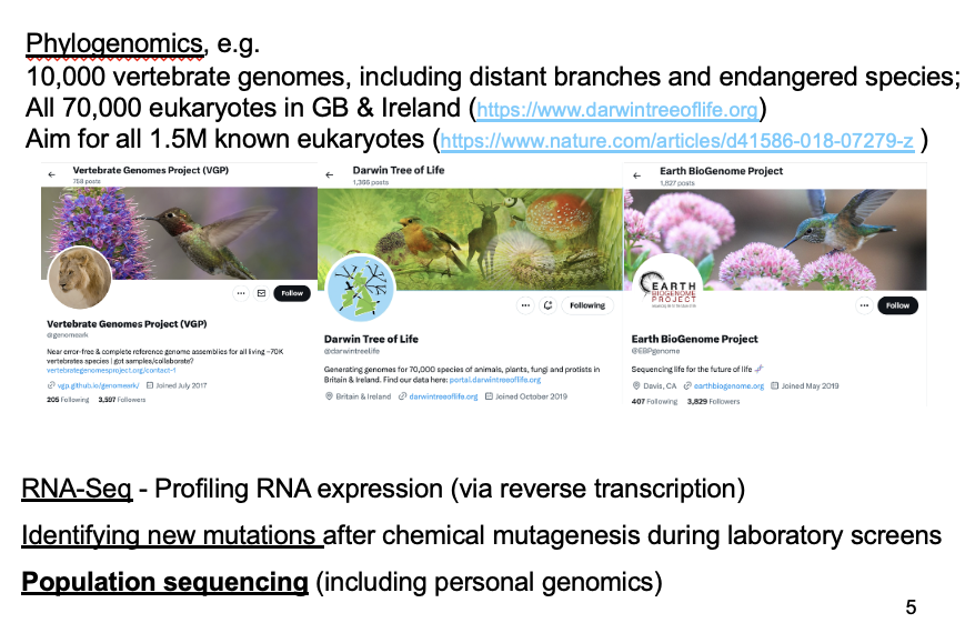 <p>e.g</p><ul><li><p>10,000 vertebrate genomes, including distant branches and endangered species→ 260 to date </p></li><li><p>70,000 eukaryotes in GB 12 marine worms, 11 lepidotera, 10 mountain bryophytes, 9 Oxfordshire earthworms, 8 diverse diptera, 7 types of apple, 6 algae cultures, 5 festive fucoids, 4 fungi, 3 coastal lichens, 2 chordates</p></li><li><p>GOAL→ 1.5 M known eukaryotes over 10 years</p></li></ul><p></p>