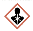 <p>Health Hazard</p>
