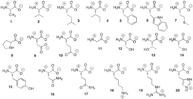 12, 13, 14, 15, 16, 17