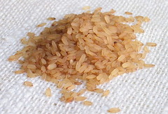 Quick-maturing rice that can allow two harvests in one growing season; led to increased populations in Song Dynasty China. Originally introduced into Vietnam from India, it was later sent to China as a tribute gift by the Champa state (as part of the tributary system.)
