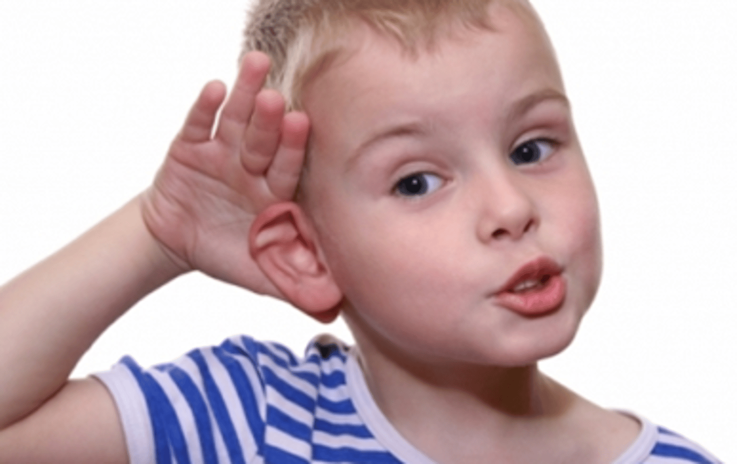<p>I do not hear you.</p>