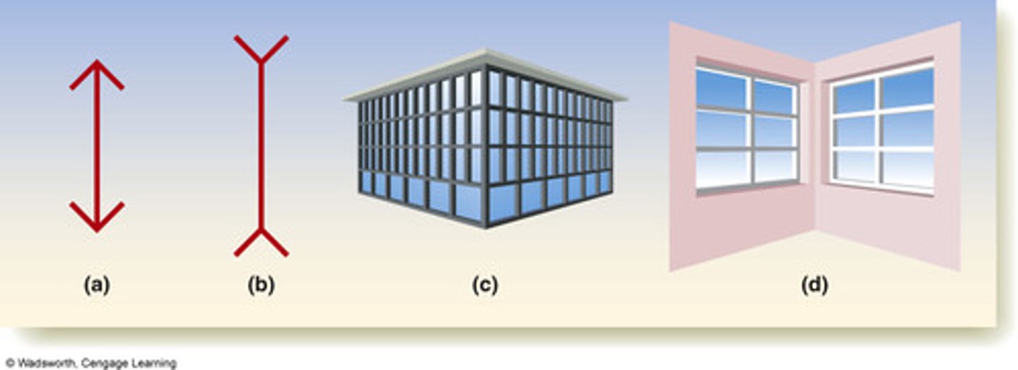 <p>perceiving objects as unchanging even as illumination and retinal images change</p>
