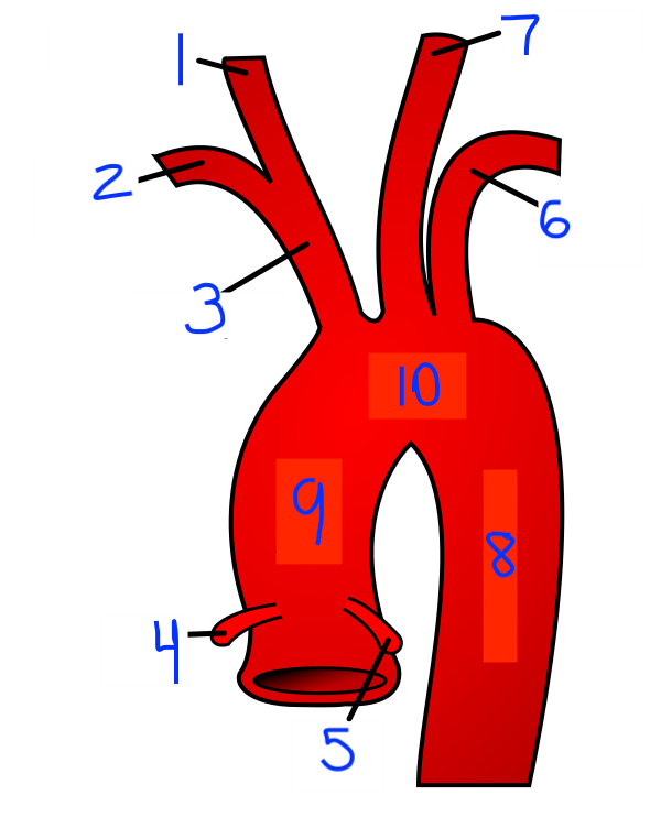 <p>8</p>