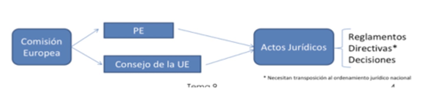 <p>PE</p><p>Conseja de la UE</p>