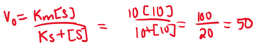 <p>C</p>