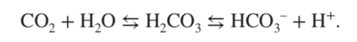 Carbon dioxide reacts with water to form carbonic acid, which in turn rapidly dissociates to form a bicarbonate ion and a hydrogen ion. 
- Optimal pH of system is 6.1
- Reversible Reaction 
- When it proceeds to the right, carbonic acid acts as a weak acid by releasing H+ and lowering pH . 
- When it proceeds to the left, bicarbonate acts as a weak base by binding H+ and raising pH.