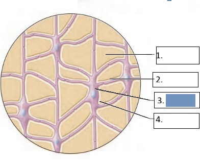 <p>3</p>