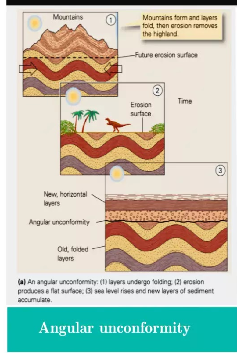 <ul><li><p class="ds-markdown-paragraph"><strong><span>Formation:</span></strong></p><ol><li><p class="ds-markdown-paragraph"><span>Sedimentary layers are deposited horizontally.</span></p></li><li><p class="ds-markdown-paragraph"><strong><span>Tectonic forces</span></strong><span> (compression) </span><strong><span>tilt or fold</span></strong><span> these layers.</span></p></li><li><p class="ds-markdown-paragraph"><span>The area is uplifted and the tilted layers are </span><strong><span>eroded down to a flat plane</span></strong><span>.</span></p></li><li><p class="ds-markdown-paragraph"><span>The area subsides, and new, </span><strong><span>horizontal sedimentary layers</span></strong><span> are deposited on top of the eroded surface.</span></p></li></ol></li><li><p class="ds-markdown-paragraph"><strong><span>Implication:</span></strong><span> Represents a </span><strong><span>major mountain-building event (orogeny)</span></strong><span>. It implies a sequence of deep deposition, tectonic deformation, prolonged erosion, and a return to subsidence and deposition. It shows the most dramatic change in the geological record.</span></p></li></ul><p></p>