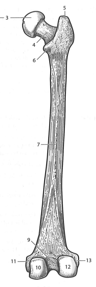 <p>10</p>