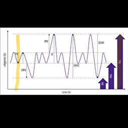 <p>Co to za pojemność płuc ssaka?</p>