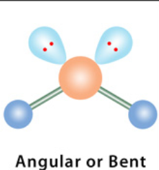 <p>4 electron domains, 2 lone pairs </p>