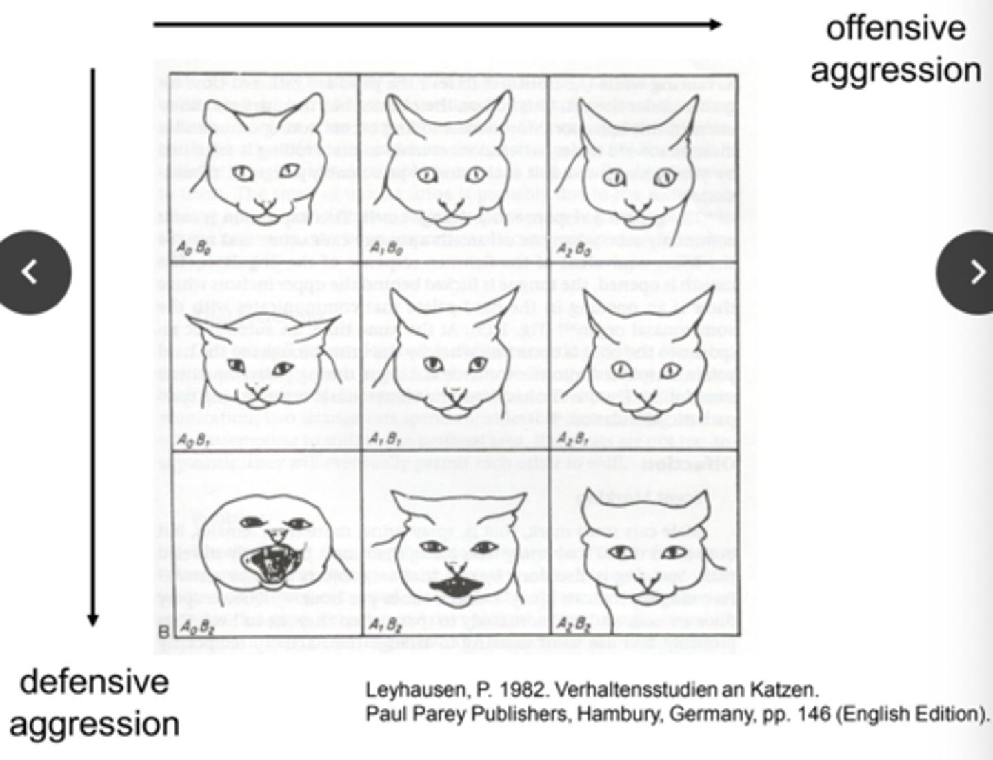 <p>Size of pupils also convey</p><p>information about a cats emotions</p><p>- small pupils (constricted)</p><p>signify aggression</p><p>- large pupils (dilated) signify that</p><p>the cat is becoming more</p><p>defensive (threatened)</p>