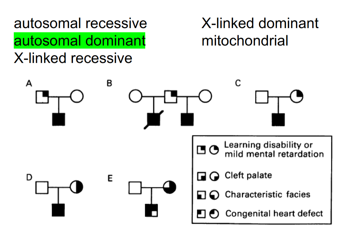 <p>Autosomal dominant</p>