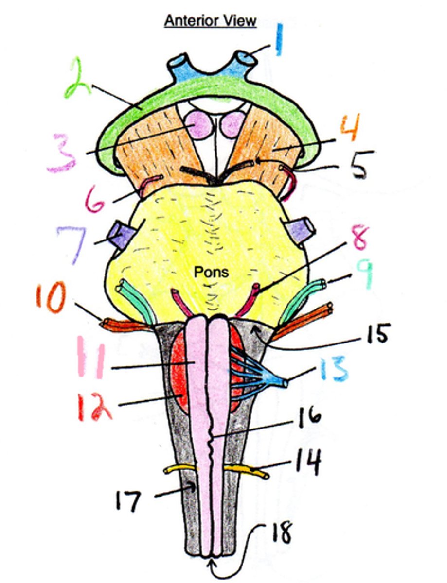 <p>between 1 and 2</p>