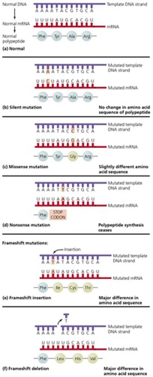 <p>A mutation that changes amino acids in a protein.</p>