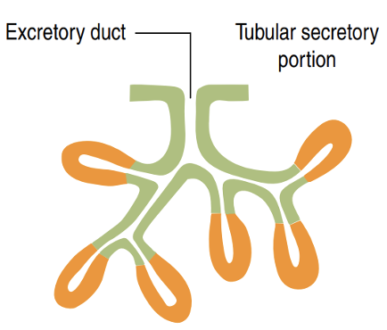 <p>Identify!</p>