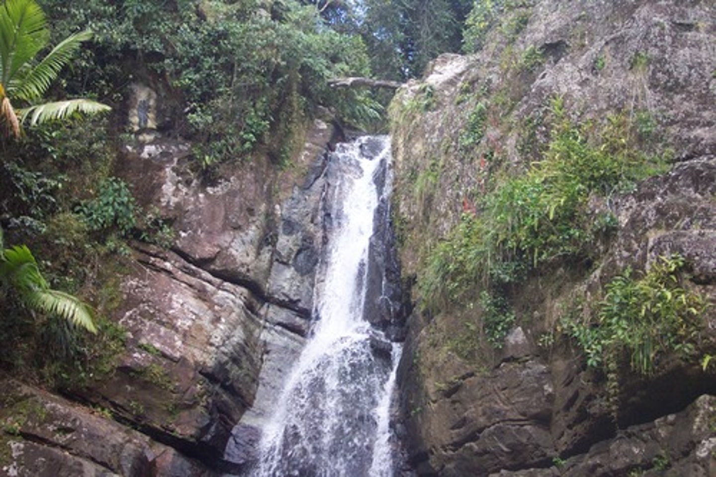 <p>Sheet erosion<br>Rill erosion <br>Gully erosion</p>