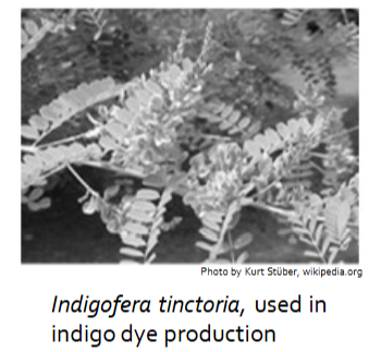 <p>• Replaced the encomienda system after the New Laws of 1542</p><p>• A conquistador, or later a Spanish settler, official, or even clergy, would be given and supervised a number of Indigenous workers</p><ul><li><p>&nbsp;Agricultural labor</p></li></ul><ul><li><p>&nbsp;Building and road construction</p></li></ul><ul><li><p>&nbsp;Gold and silver mines</p></li></ul><ul><li><p>&nbsp;Coastal shipyards</p></li></ul><p>• All adult males from Indigenous communities had to participate</p><p>• Adult women could be forced to spin and weave</p><p>• Officially, the system was not supposed to interfere with Indigenous community survival, and was supposed to be 3-4 weeks per year</p><p>• Indigenous people were horrifically abused under the system&nbsp;</p>