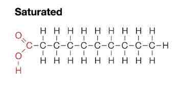<p>Single carbon bonds </p><p>Solid fats </p><p>Straight compacted structure </p><p>Differ at state at 20degrees </p>