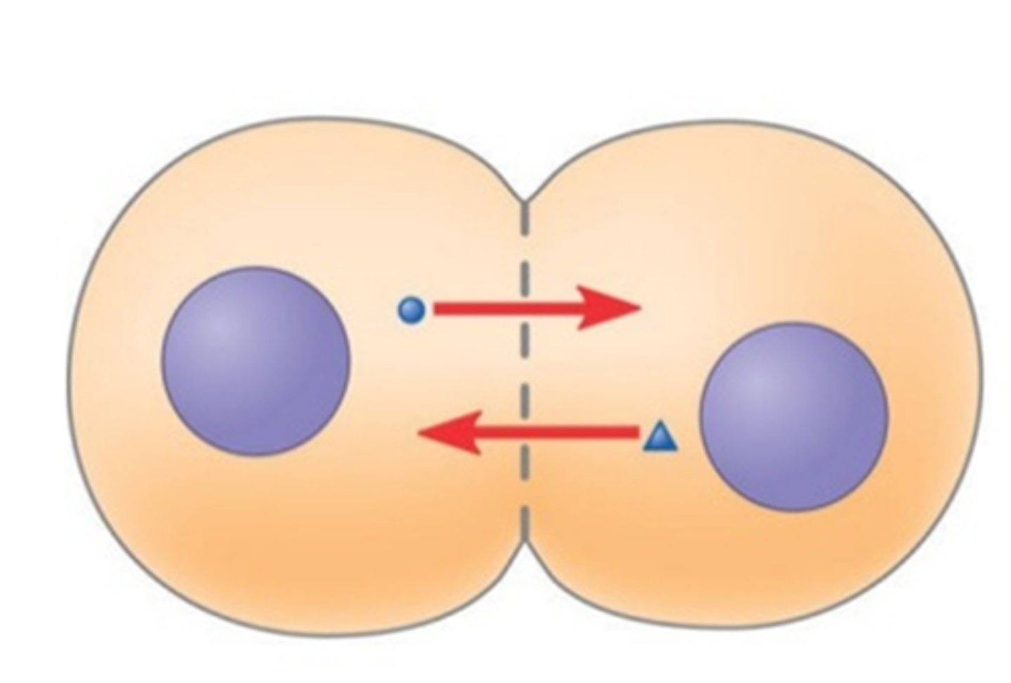 <p>Signaling between cells that are physically connected, such as through gap junctions.</p>