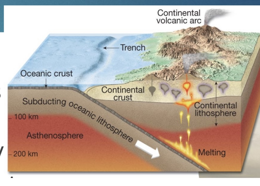 photo is oceanic-continental

example-Andes Mountains

make sure to draw and label partial melting and volcanoes