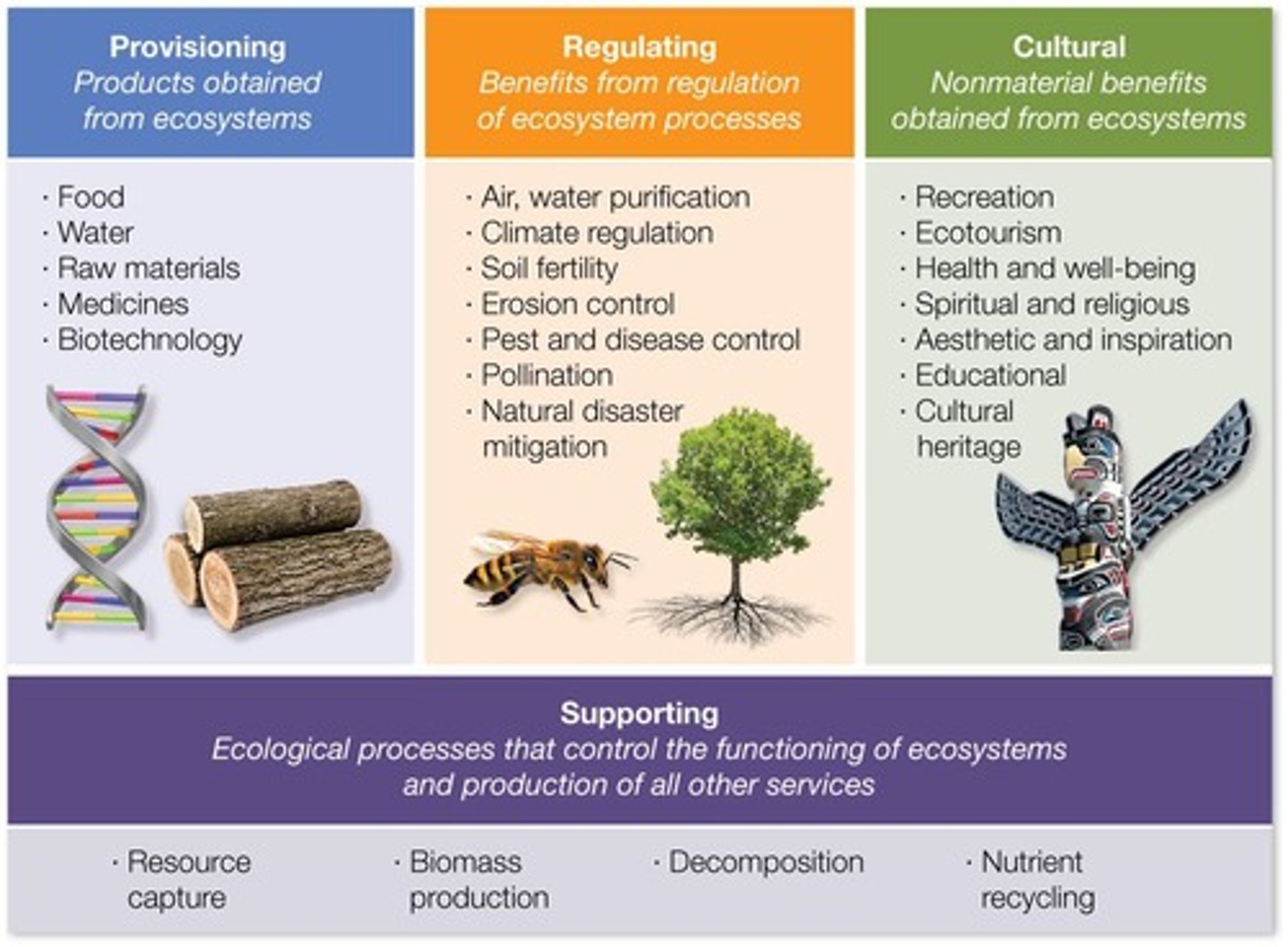 <p>The categories are supporting, provisioning, regulating, and cultural services.</p>