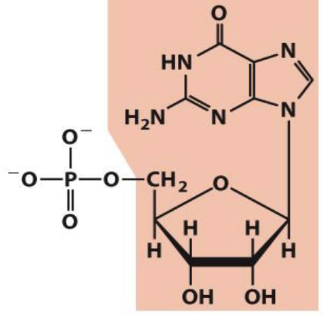<p>What is the name of this structure?</p>