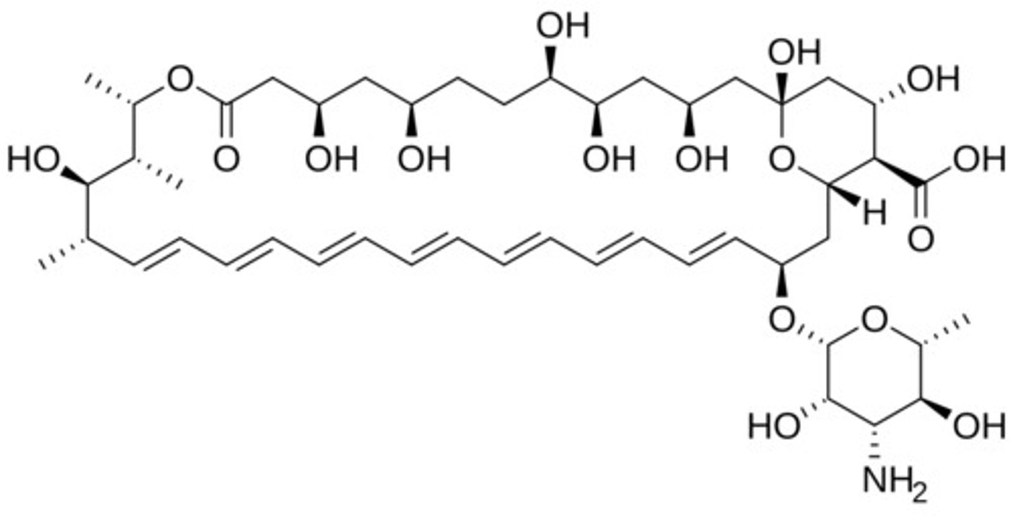knowt flashcard image