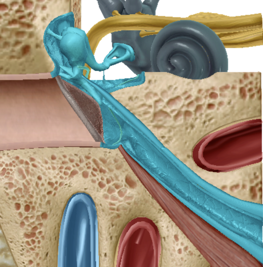 <p>what is highlighted </p>