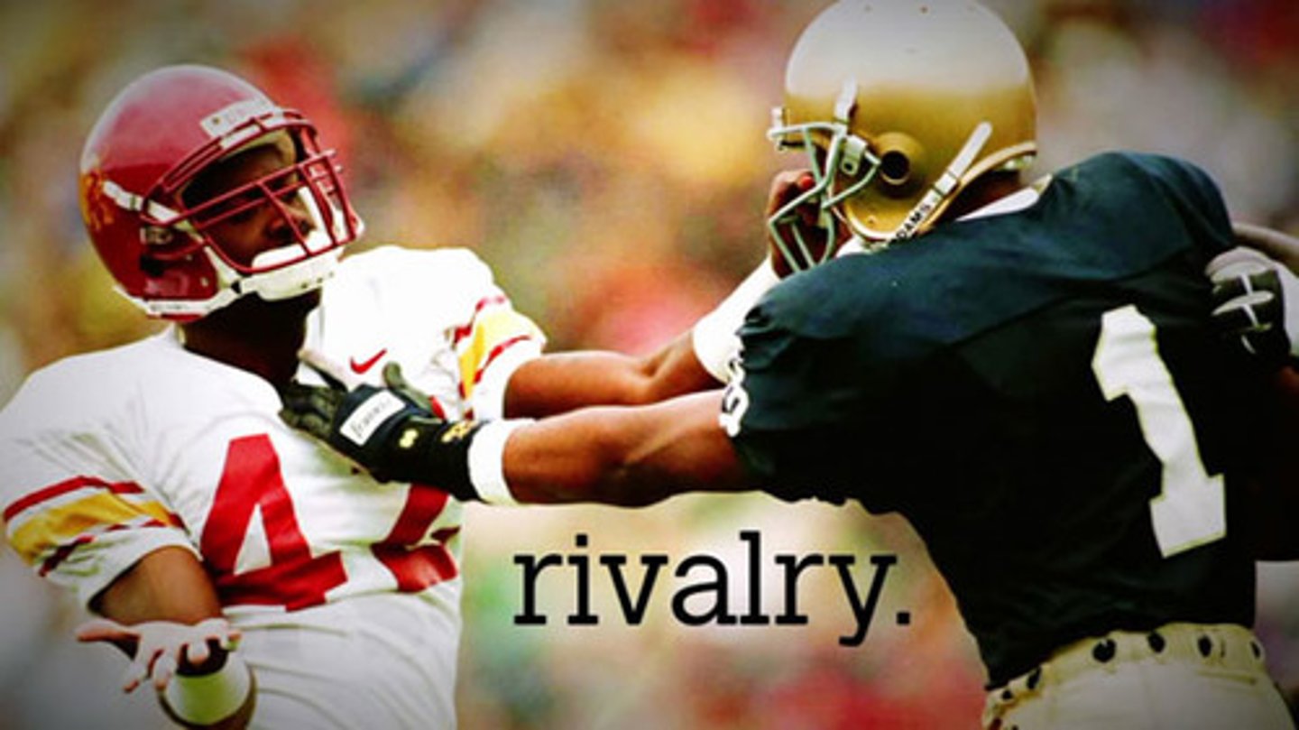 <p>rivalry</p>