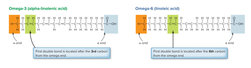 <p>one of the naming systems for fatty acids where the first double bond closest to the methyl end occurs</p>