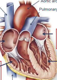 <p>label this diagram </p>