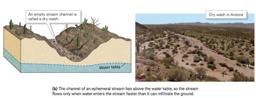 <ul><li><p>flows only for part of the year; above the water table</p></li><li><p>only flows when water flow is high (precipitation) will dry up</p></li></ul>