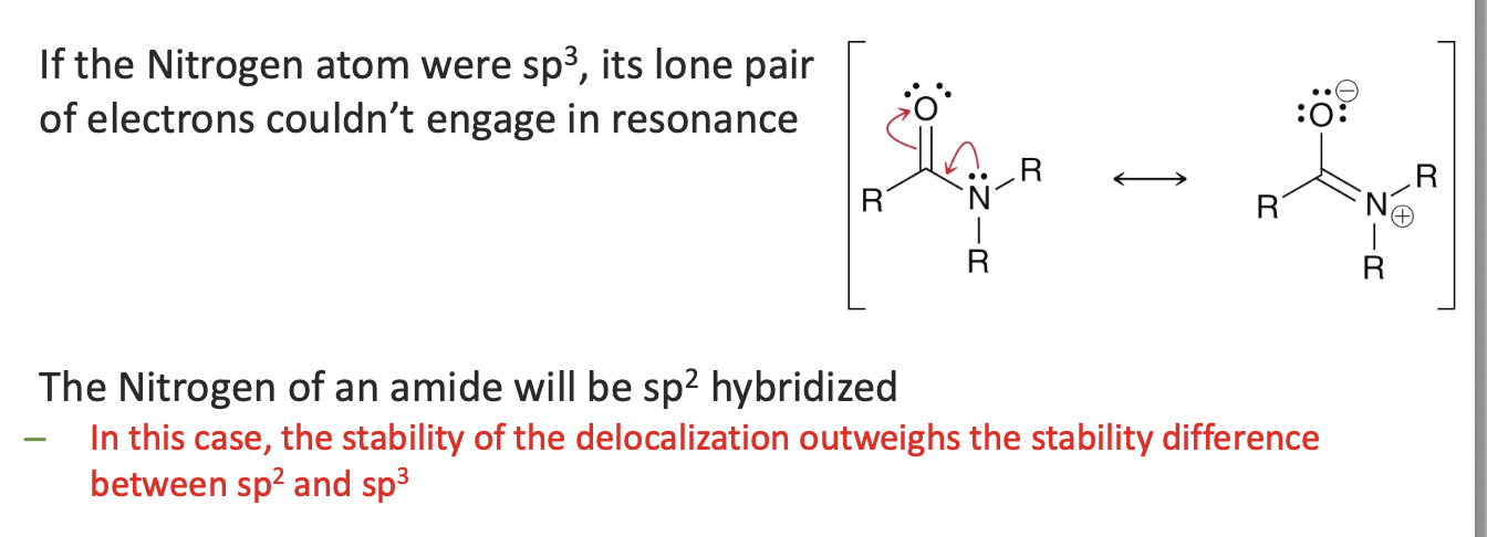 <p>The atom becomes sp<sup>2</sup> hybridized to provide a p orbital for delocalization</p><ul><li><p>so some atoms that would normally be sp<sup>3 </sup> will become sp<sup>2 </sup> hybridized</p></li></ul><p></p>