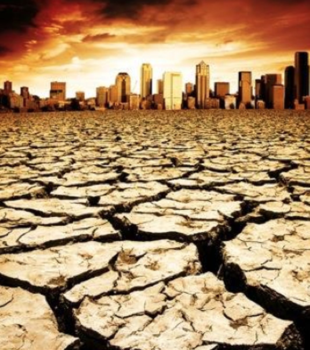 <p>affects species interactions by increasing and decreasing abundance of certain species</p>