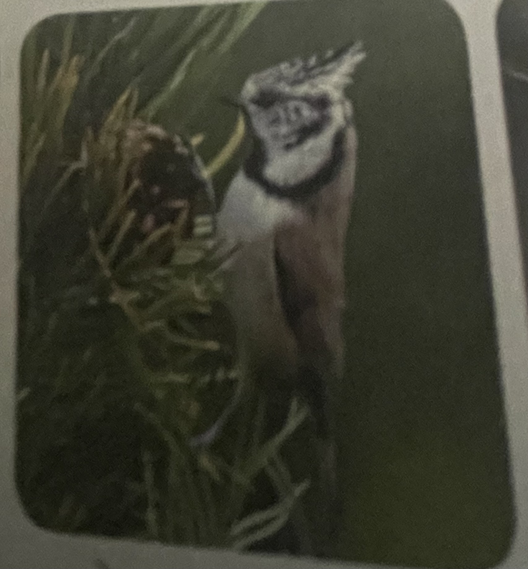 <p>mikä eläin</p>