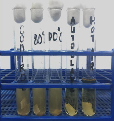 <p>What is responsible for the characteristic result seen in the set-up of the probable organism giving this test result?</p>