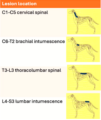 <p>Typical Signs of Each</p>
