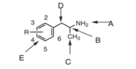 <p>position C is…</p>