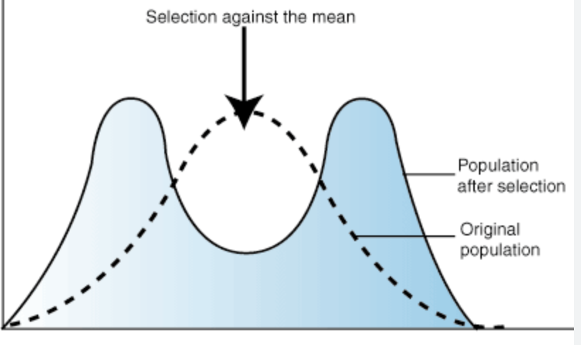 <p>both extremes are selected over an intermediate phenotype </p>