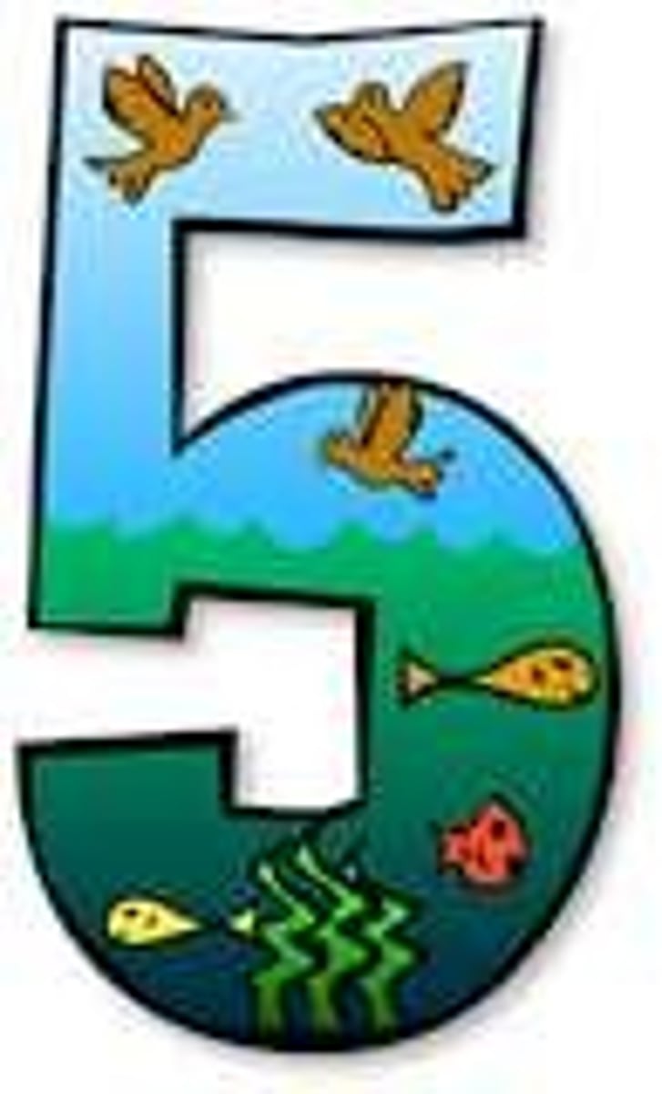 <p>five</p>